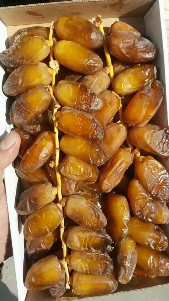 WhatsApp Image 2025-10-01 at 12.54.06 (1)
