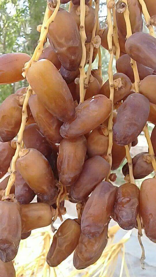 WhatsApp Image 2025-10-01 at 12.54.06 (3)